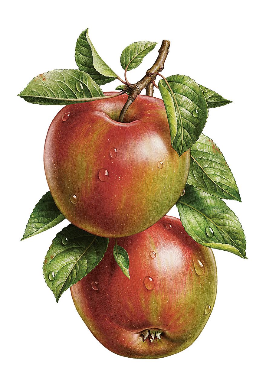 Familienkelterei Möller